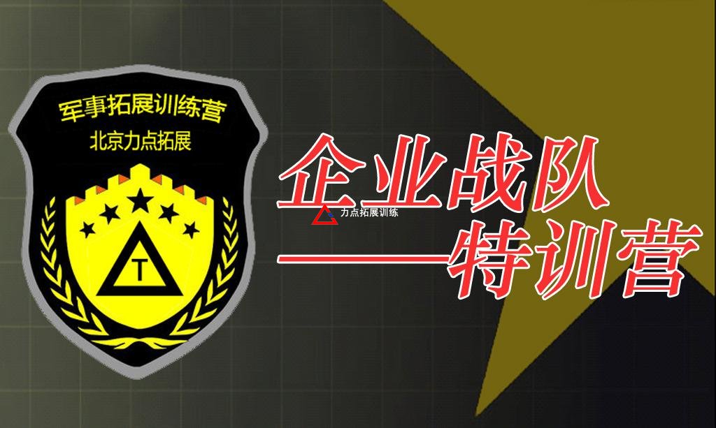 企業(yè)戰(zhàn)隊特訓營